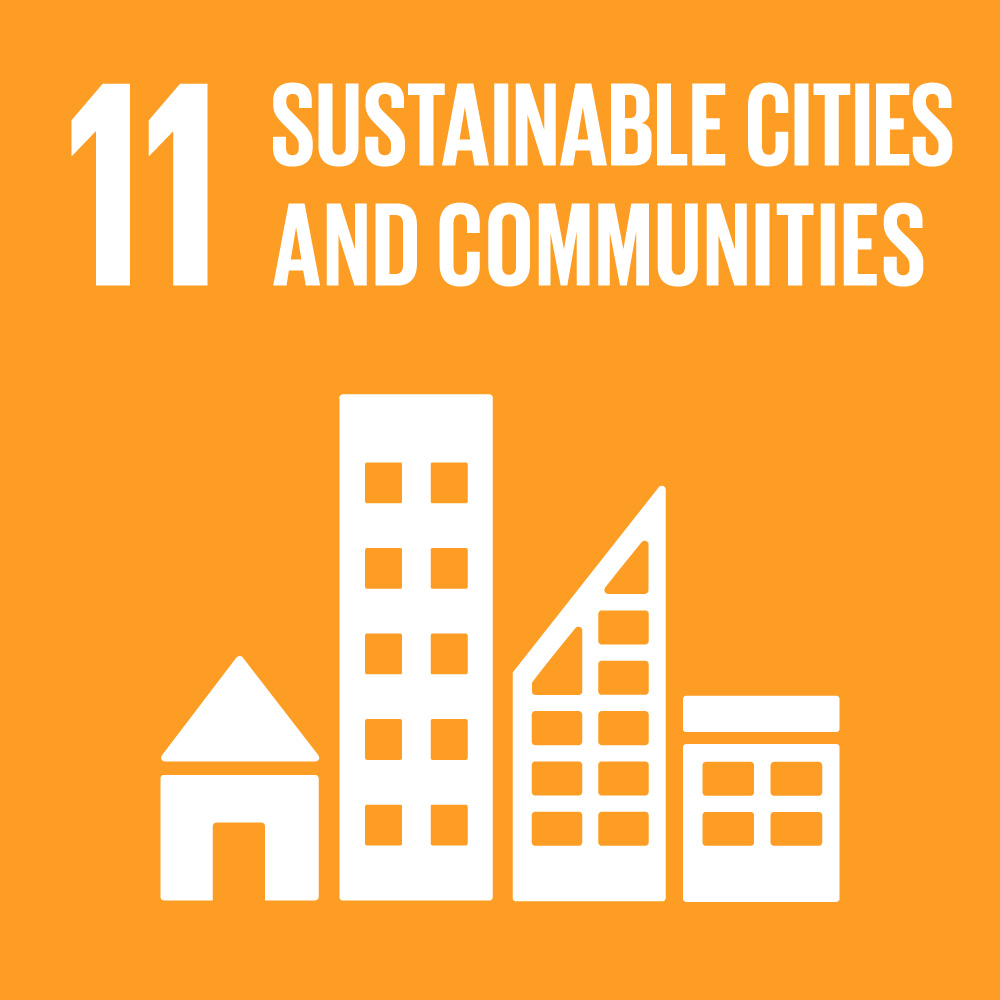 SDG-11