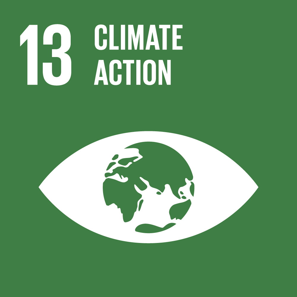 SDG-13